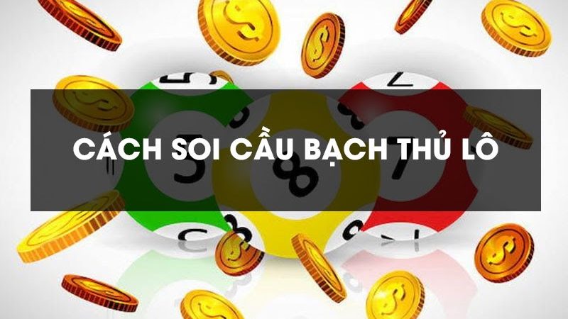 Bạch thủ lô là gì? Cách Nuôi Bạch Thủ Lô Từ Chuyên Gia